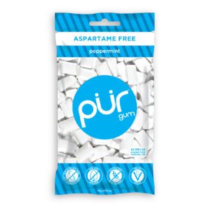 Pur Gum, Aspartame Free Peppermint Gum, 55pcs Gum