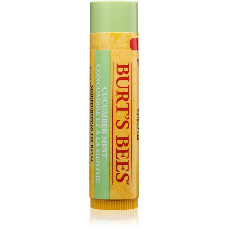 Burt's Bees Lip Care Lip Balm (with Cucumber & Mint) 4.25 G