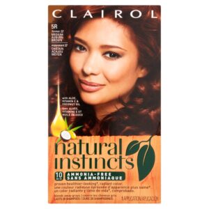 Clairol Natural Instincts Hair Color, 22 Medium Auburn Brown, 1 Kit Hair Colour Treatments
