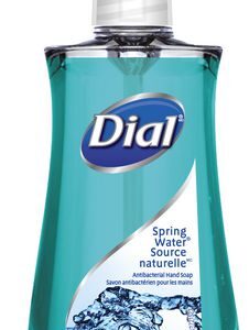 Dial Anti-bacterial Hand Soap Skin Care