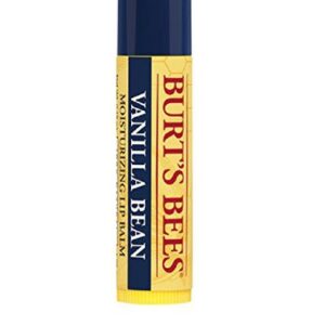 Burt’s Bees Lip Care Moisturizing Lip Balm with Vanilla 4.25 G Lip Care