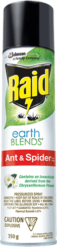 Raid Earthblnds Ant/spdr Killr