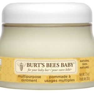Burt’s Bee Baby Bee Multipurpose Ointment Baby Skin Care
