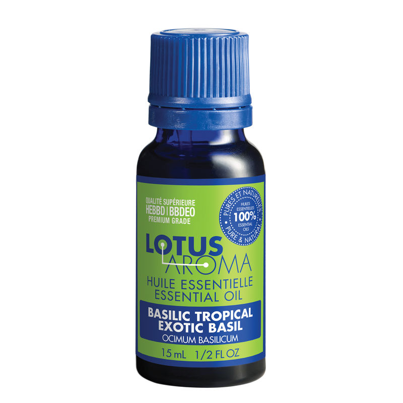 Lotus Aroma Exotic Basil Essential Oil 15 mL