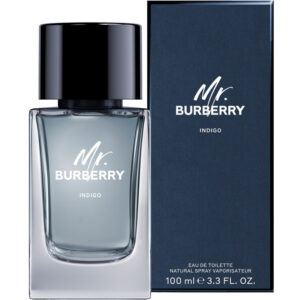 Burberry Mr. Burberry Indigo Eau de Toilette 100 mL