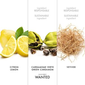 Azzaro Wanted Eau De Toilette Refillable 100 mL