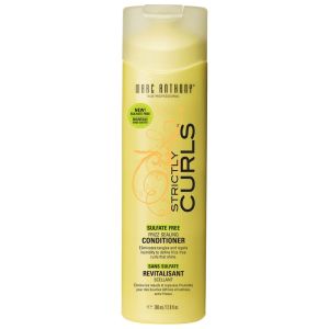 Strictly Curls Frizz Sealing Conditioner 380 mL