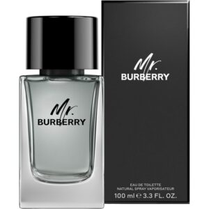 Mr. Burberry EDT 100 mL - Classic Yet Contemporary Fragrance