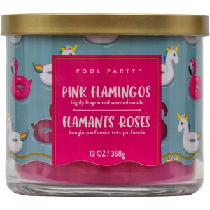 Pink Flamingo Highly Fragranced Candle 13 oz - Premium Blend