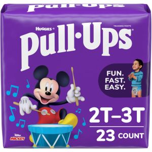Pull-Ups Potty Training Pants 2T-3T 1 EA