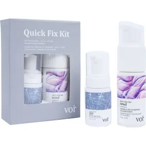Voir Haircare Quick Fix Kit