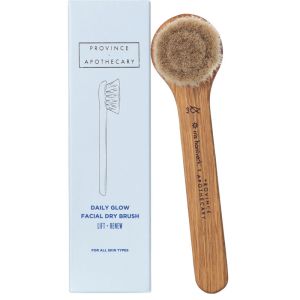 Province Apothecary Daily Glow Facial Dry Brush