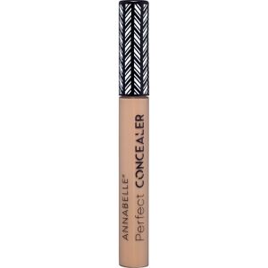 Annabelle Perfect Concealer - Fair Shade