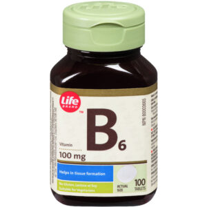 Life Brand Vitamin B 6 100mg 100 TAB