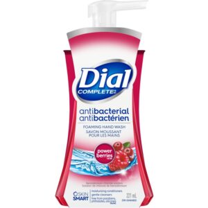 Dial Complete FHW Anti Oxidant Power Berries 221 mL