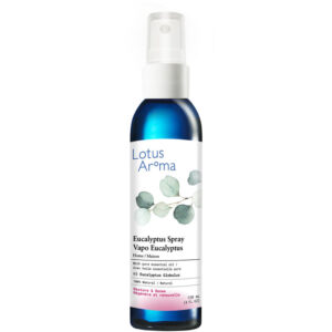 Natural Eucalyptus Home Spray - 120 mL