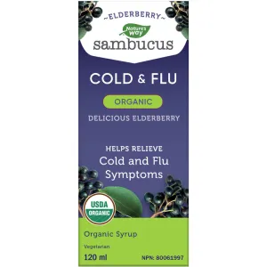 Nature's Way Organic Sambucus Cold and Flu Care Syrup, Elderberry, 120 mL