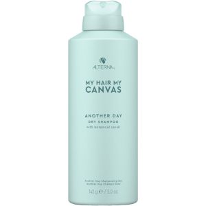 Alterna My Canvas Another Day Dry Shampoo 142g