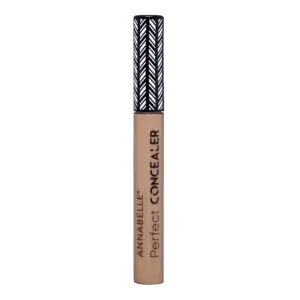 Perfect Concealer