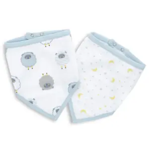 Ideal Baby 2-Pack Bandana Bib