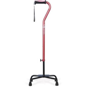 Hugo Large Base Quad Rose Cane